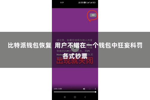 比特派钱包恢复 用户不错在一个钱包中狂妄科罚各式钞票