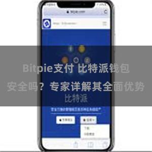 Bitpie支付 比特派钱包安全吗？专家详解其全面优势