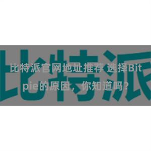 比特派官网地址推荐 选择Bitpie的原因，你知道吗？