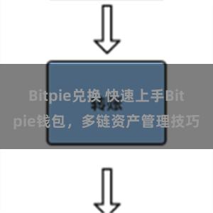 Bitpie兑换 快速上手Bitpie钱包，多链资产管理技巧