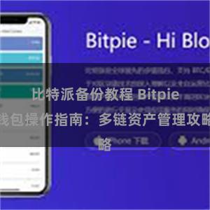 比特派备份教程 Bitpie钱包操作指南：多链资产管理攻略