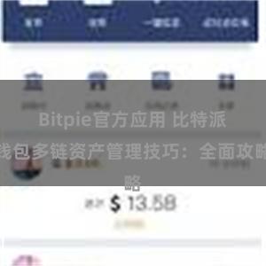 Bitpie官方应用 比特派钱包多链资产管理技巧：全面攻略