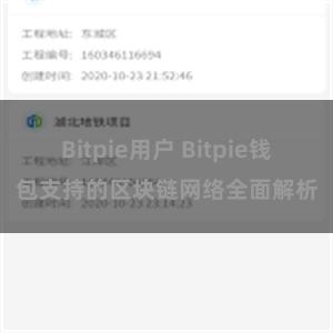 Bitpie用户 Bitpie钱包支持的区块链网络全面解析