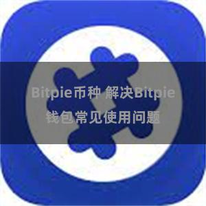 Bitpie币种 解决Bitpie钱包常见使用问题