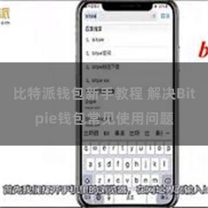 比特派钱包新手教程 解决Bitpie钱包常见使用问题