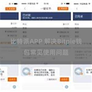 比特派APP 解决Bitpie钱包常见使用问题