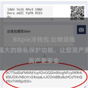 Bitpie冷钱包 比特派钱包：强大的隐私保护功能，让您资产更安全