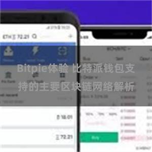 Bitpie体验 比特派钱包支持的主要区块链网络解析