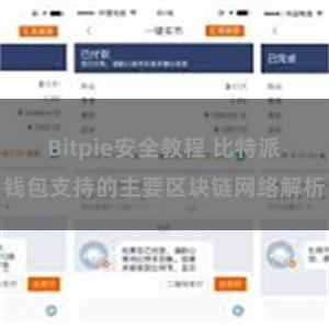 Bitpie安全教程 比特派钱包支持的主要区块链网络解析