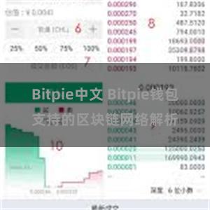 Bitpie中文 Bitpie钱包支持的区块链网络解析