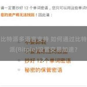 比特派多语言支持 如何通过比特派(Bitpie)设置交易加速？