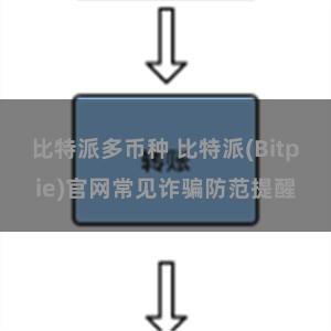 比特派多币种 比特派(Bitpie)官网常见诈骗防范提醒