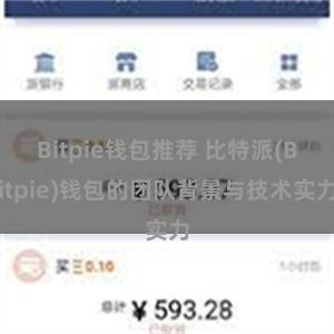 Bitpie钱包推荐 比特派(Bitpie)钱包的团队背景与技术实力