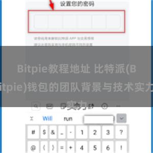 Bitpie教程地址 比特派(Bitpie)钱包的团队背景与技术实力