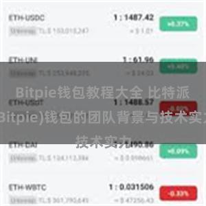 Bitpie钱包教程大全 比特派(Bitpie)钱包的团队背景与技术实力