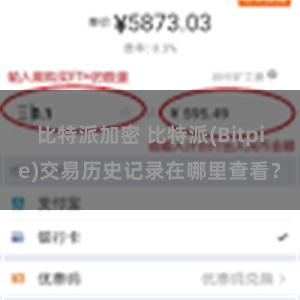 比特派加密 比特派(Bitpie)交易历史记录在哪里查看？