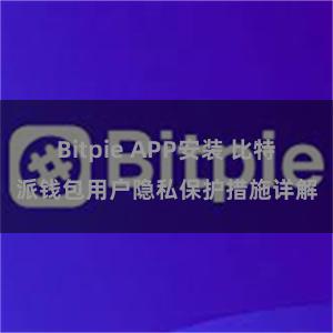 Bitpie APP安装 比特派钱包用户隐私保护措施详解