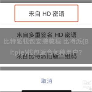 比特派钱包安装教程 比特派(Bitpie)钱包适合何种用户？