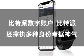 比特派数字账户  比特派还撑执多种身份考据神气