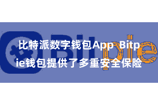 比特派数字钱包App  Bitpie钱包提供了多重安全保险