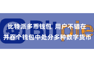 比特派多币钱包  用户不错在并吞个钱包中处分多种数字货币